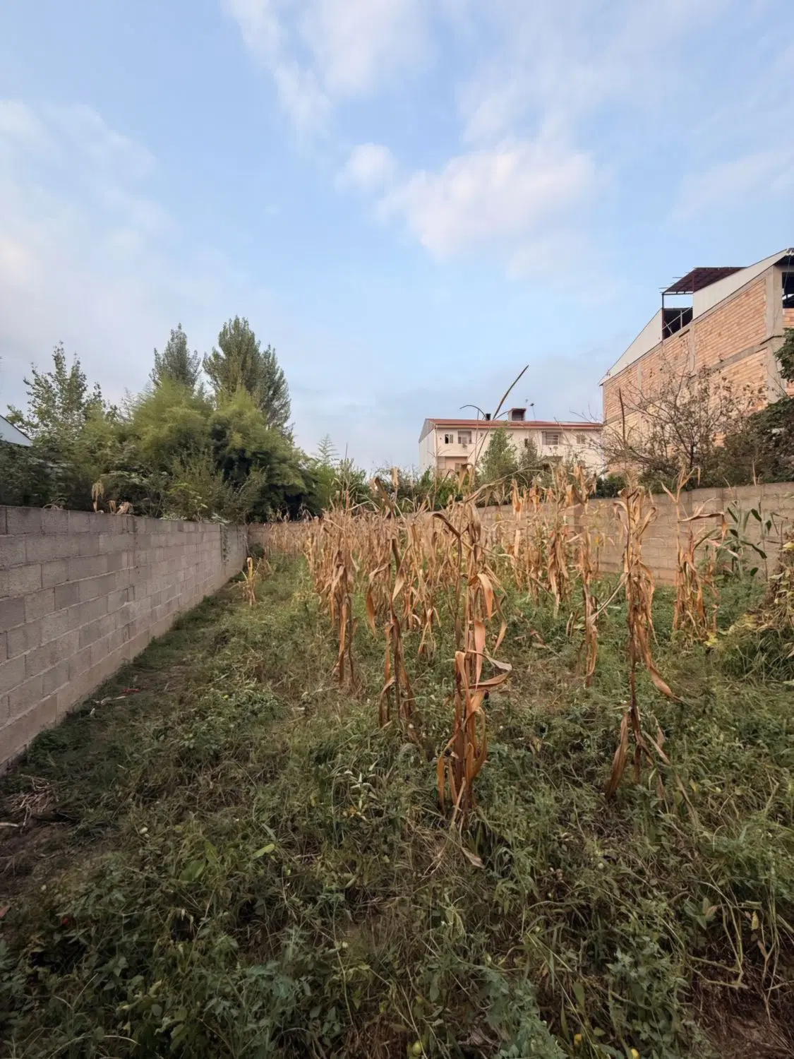 زمینی به متراژ ۱۷۸ متر