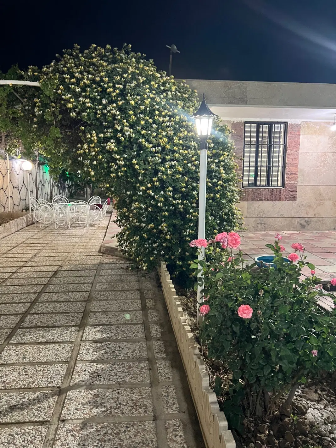 باغ