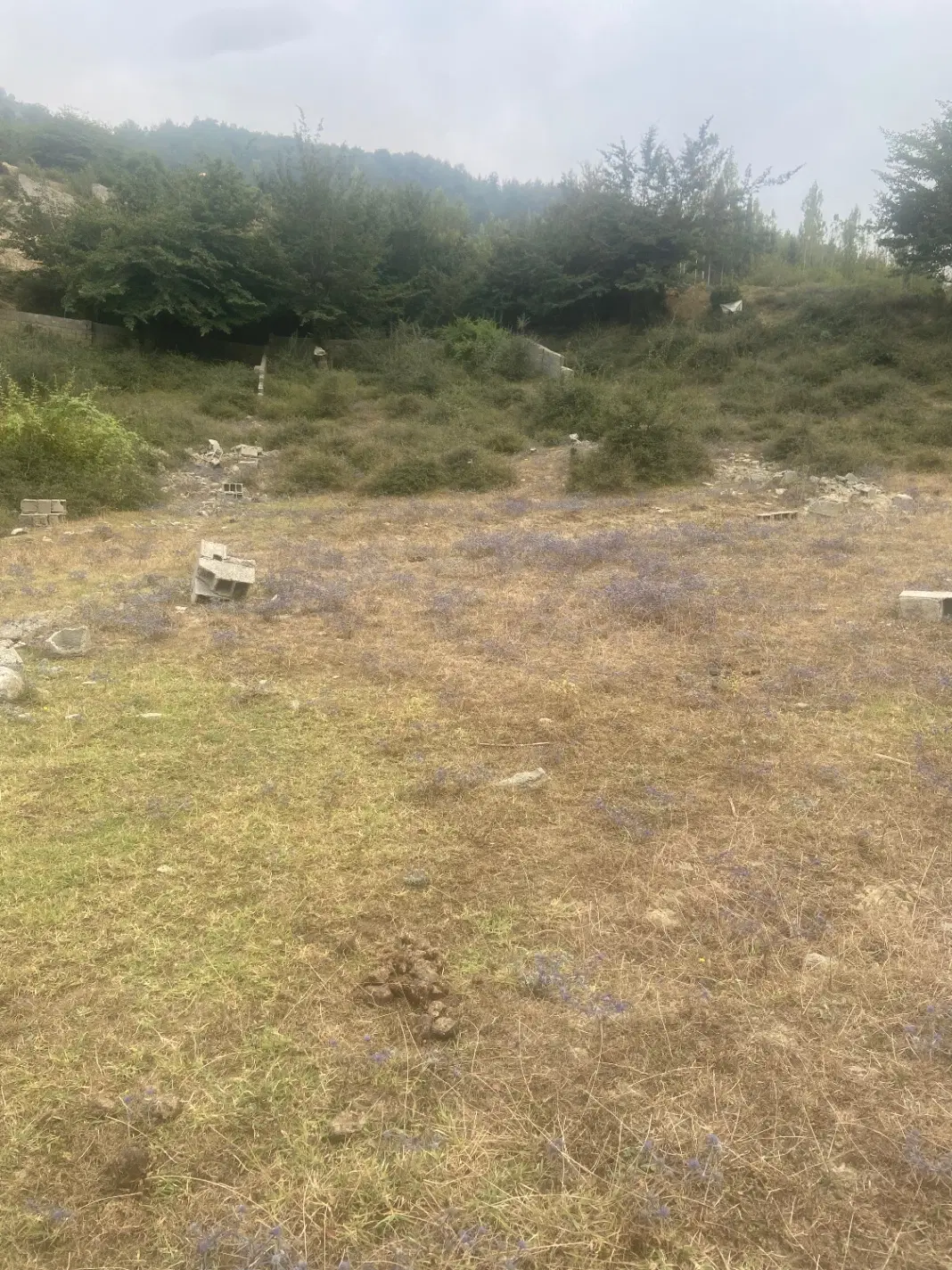 زمین گاوخوسه زیارت