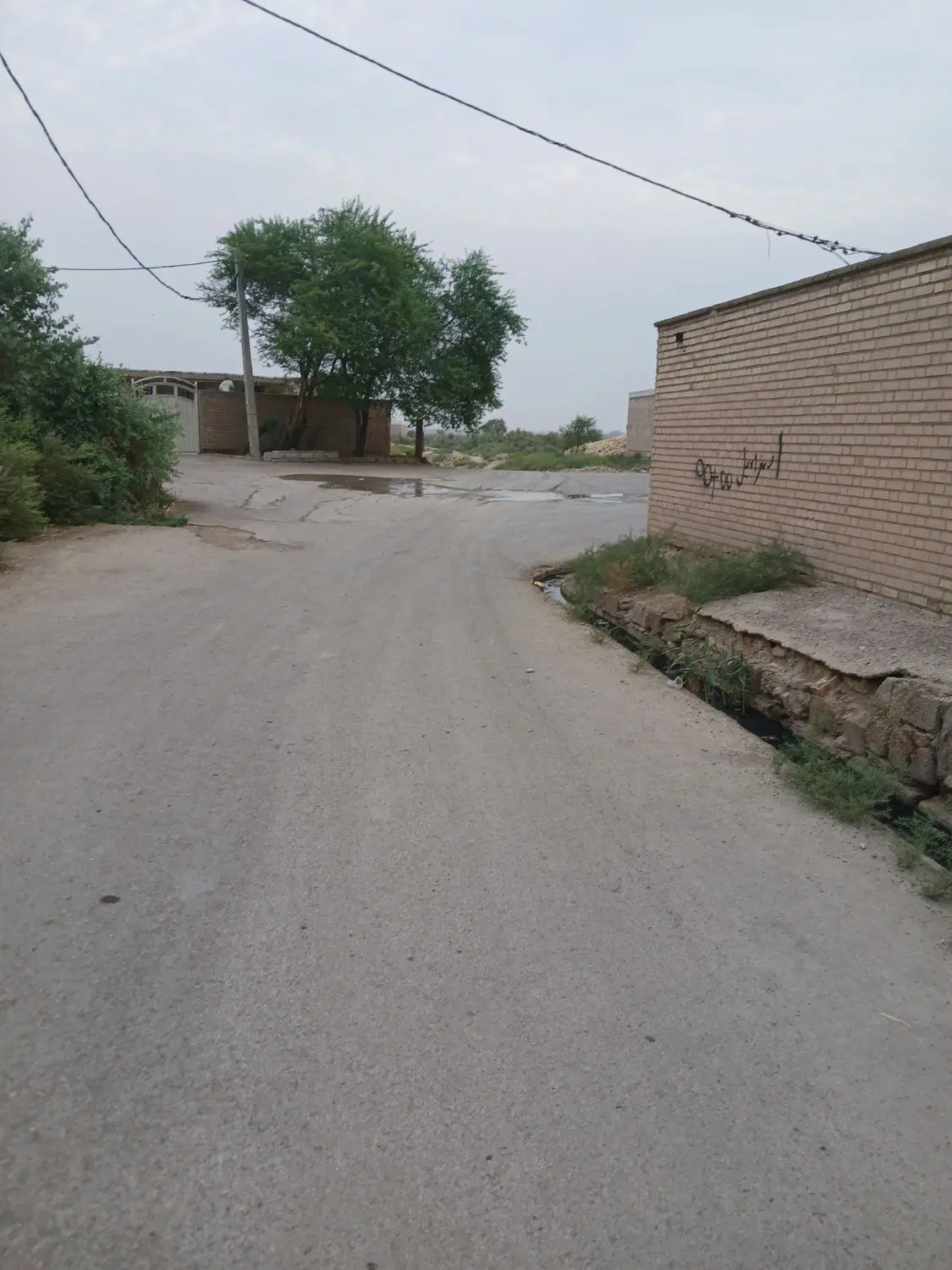 سوسنگرد آلبوجلال شمالی