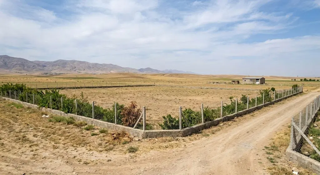 مزایده خرید فروش یک زمین کلاه سیاه در ممسنی