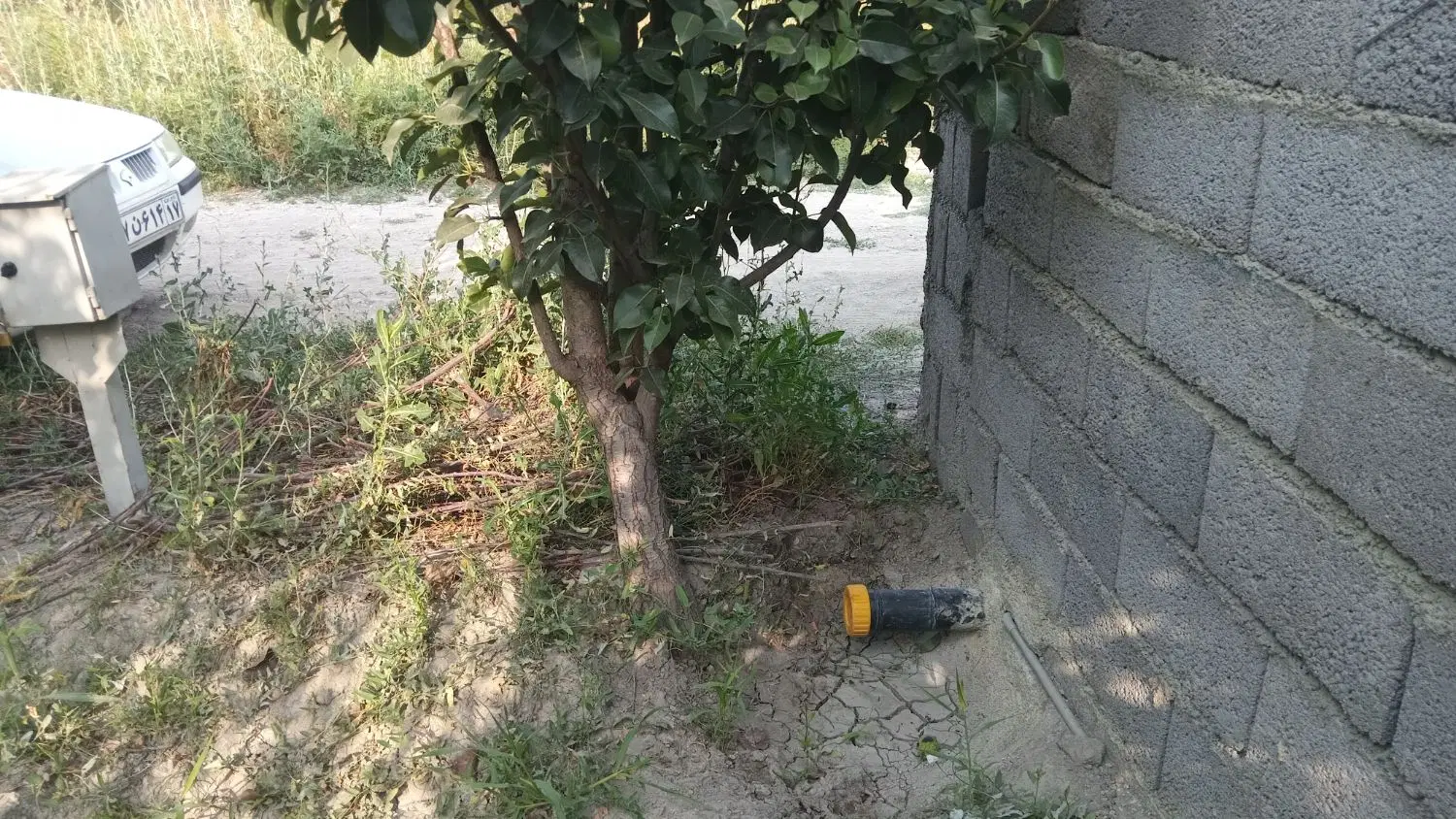 باغچه الوان ۵۰۰ متردرختان ۱۰ ساله عیسی آلوی حیدرلو