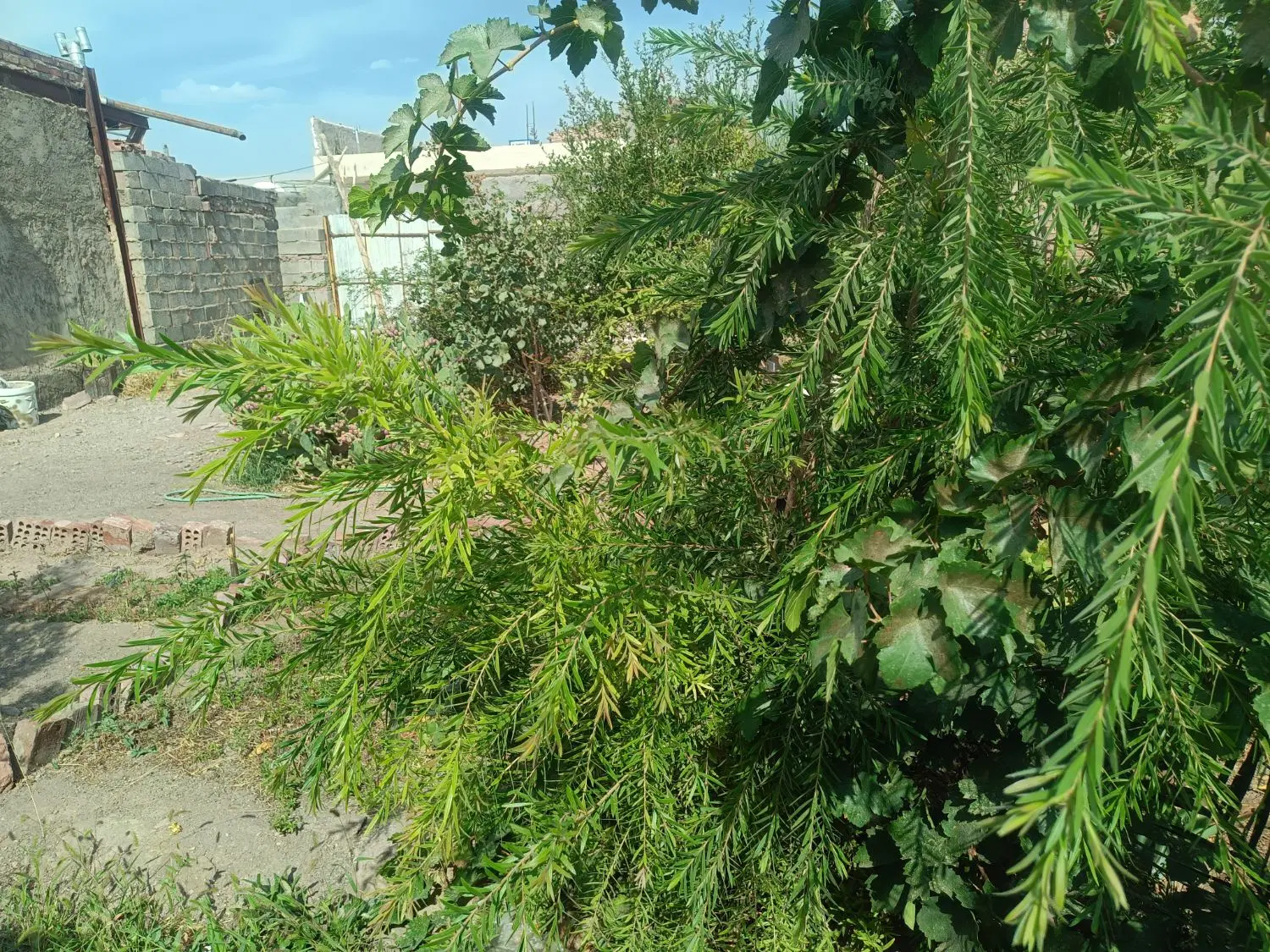 فروش زمین باغی