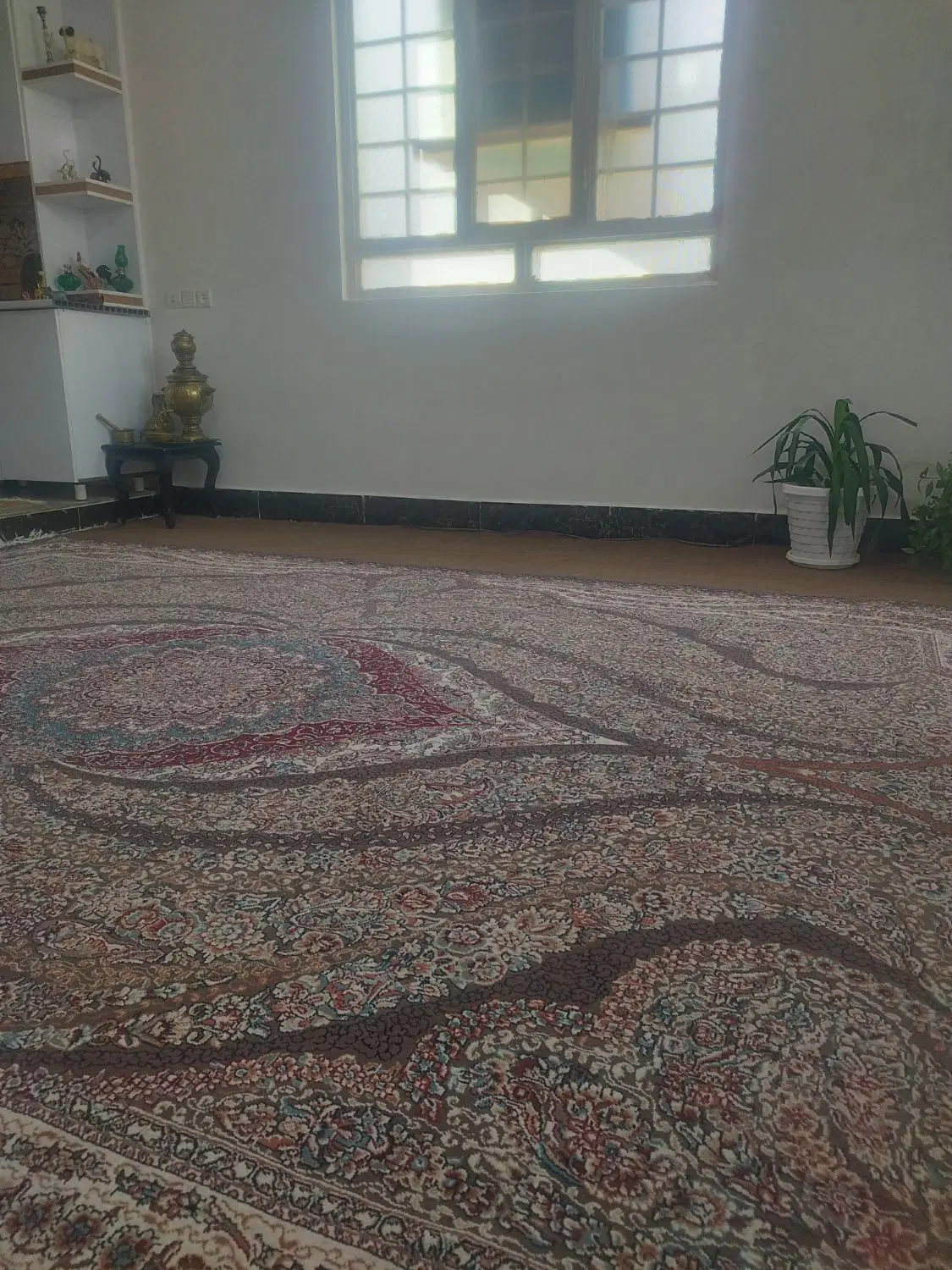 خانه تمام اسکلت