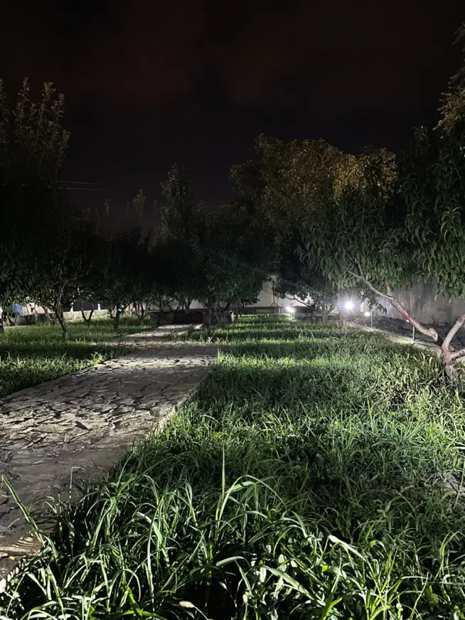باغ ۲کیلومتری جاده سنتو زرین