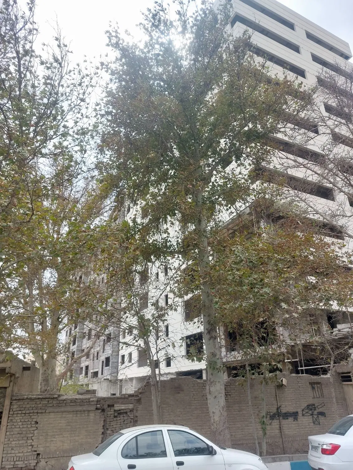 پیش فروش واحد ۶۰ متری گرمدره خیابان ناصریه