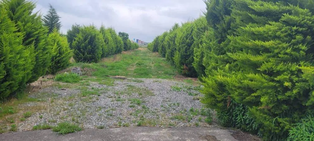 زمین شهرکی