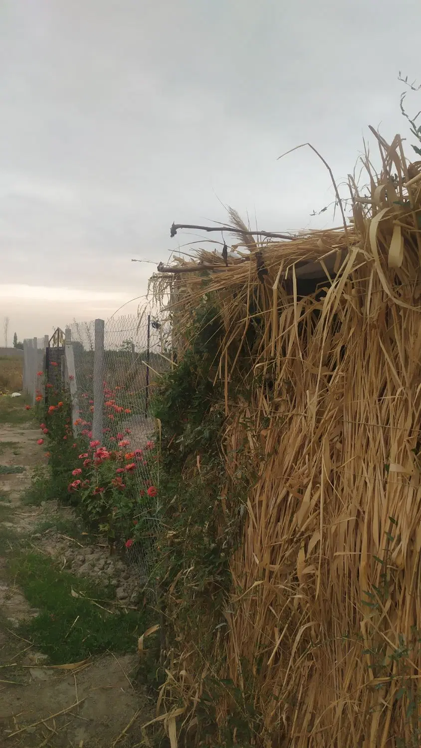 زمین 500متری جاده شورکند روستای سعیدلو