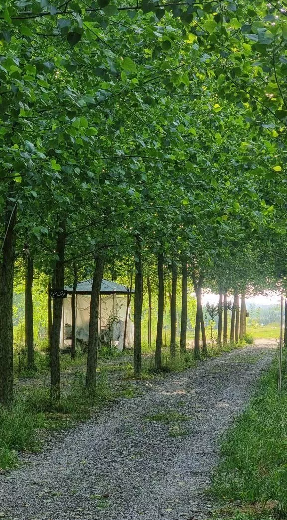 مجموعه شهرکی_در رویایی ترین مکان