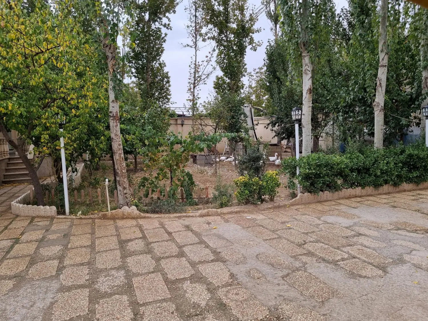 باغ ویلا 1000 متری کردان سهیلیه دهکده ورزشی