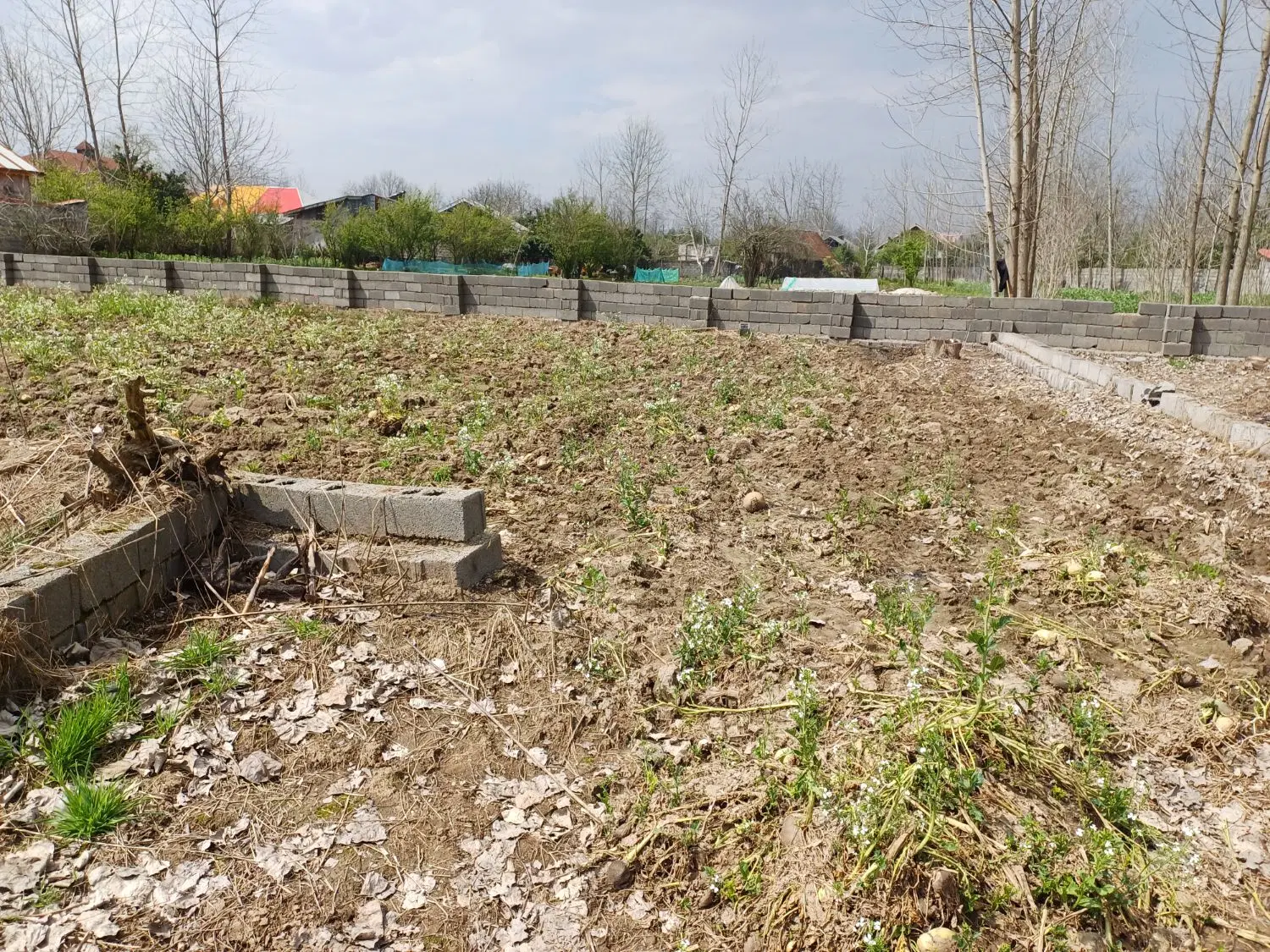 نرخ زمبن مسکونی ویلایی در ابراهیم سرا