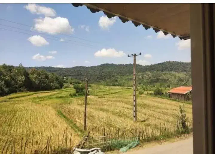 زمینی به مساحت ۳۵۰ متر مربع در روستای محرمان شفت