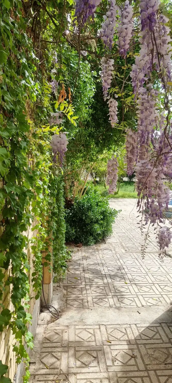 فروش هزار متری با معماری استثنایی