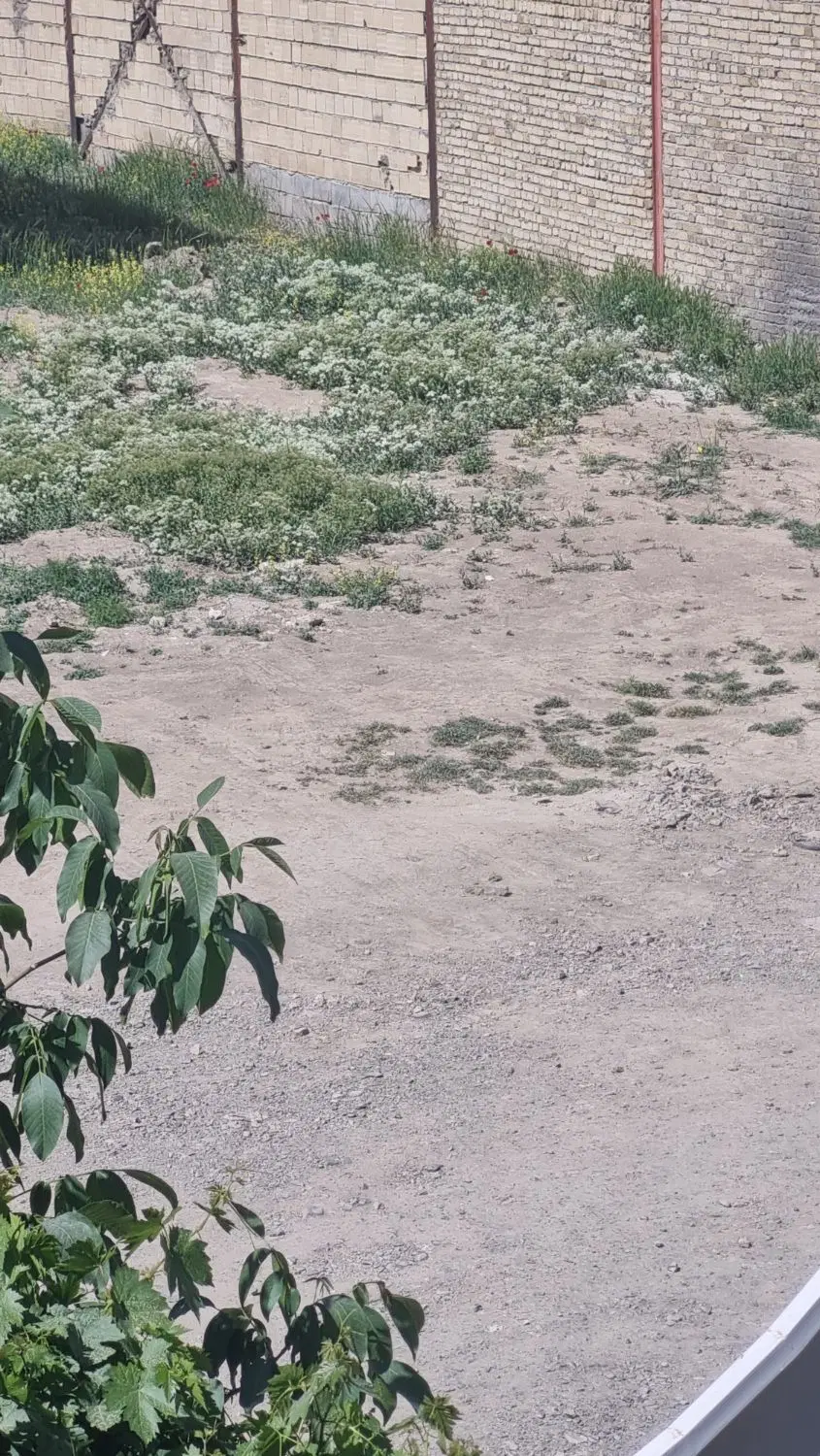 زمین مسکونی