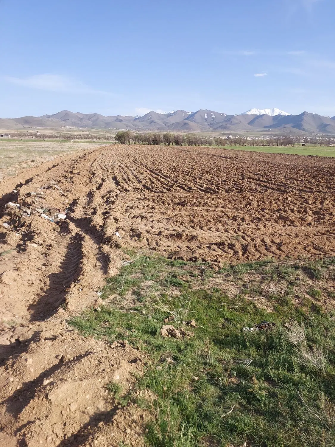 زمین کشاورزی زاغه