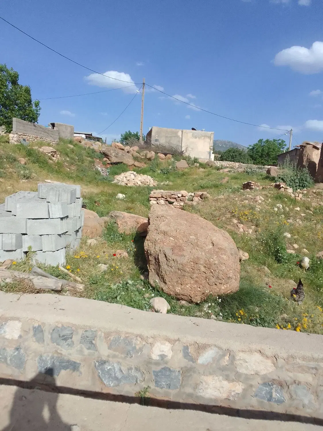زمین مسکونی