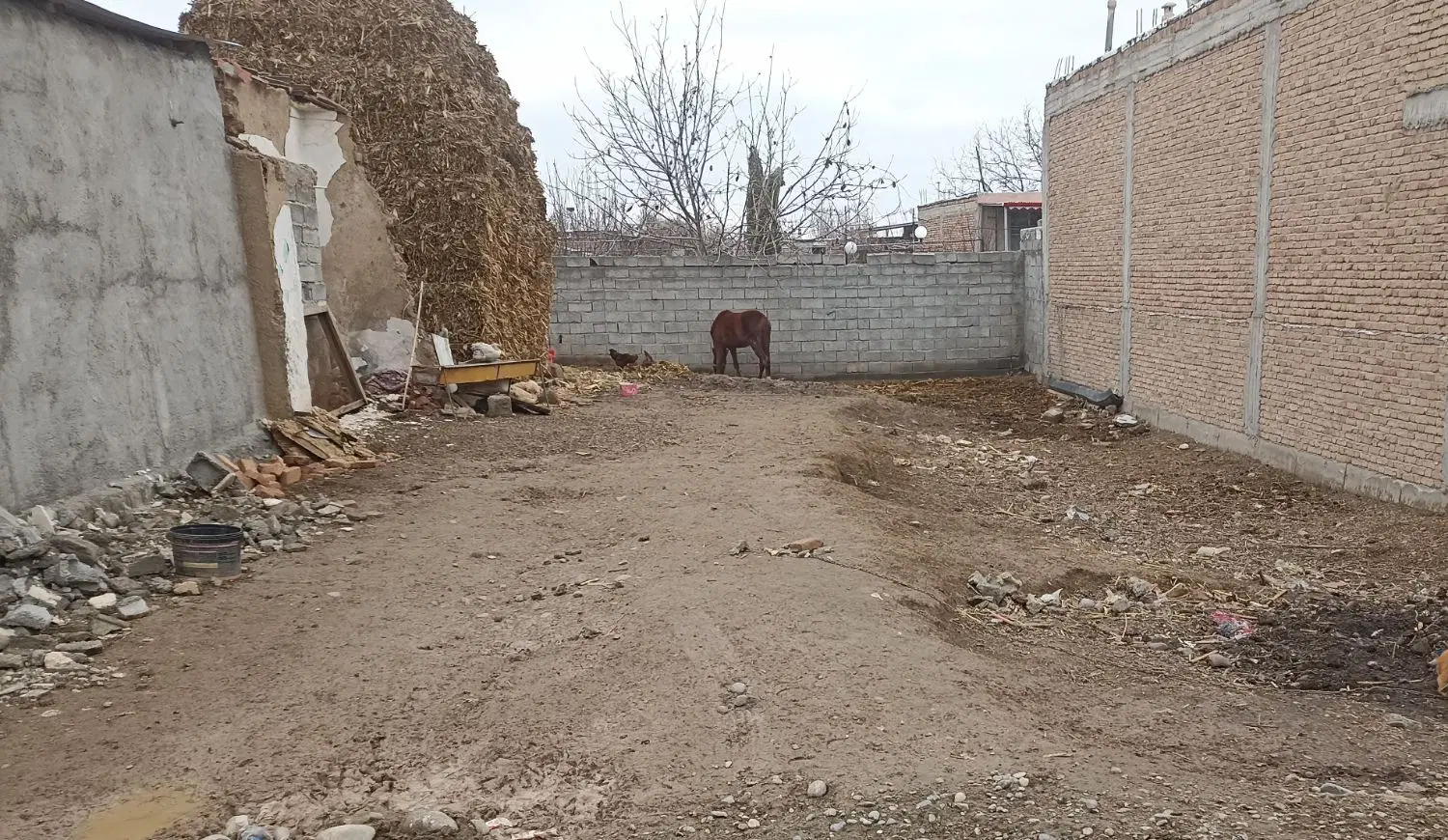 زمین   مسکونی