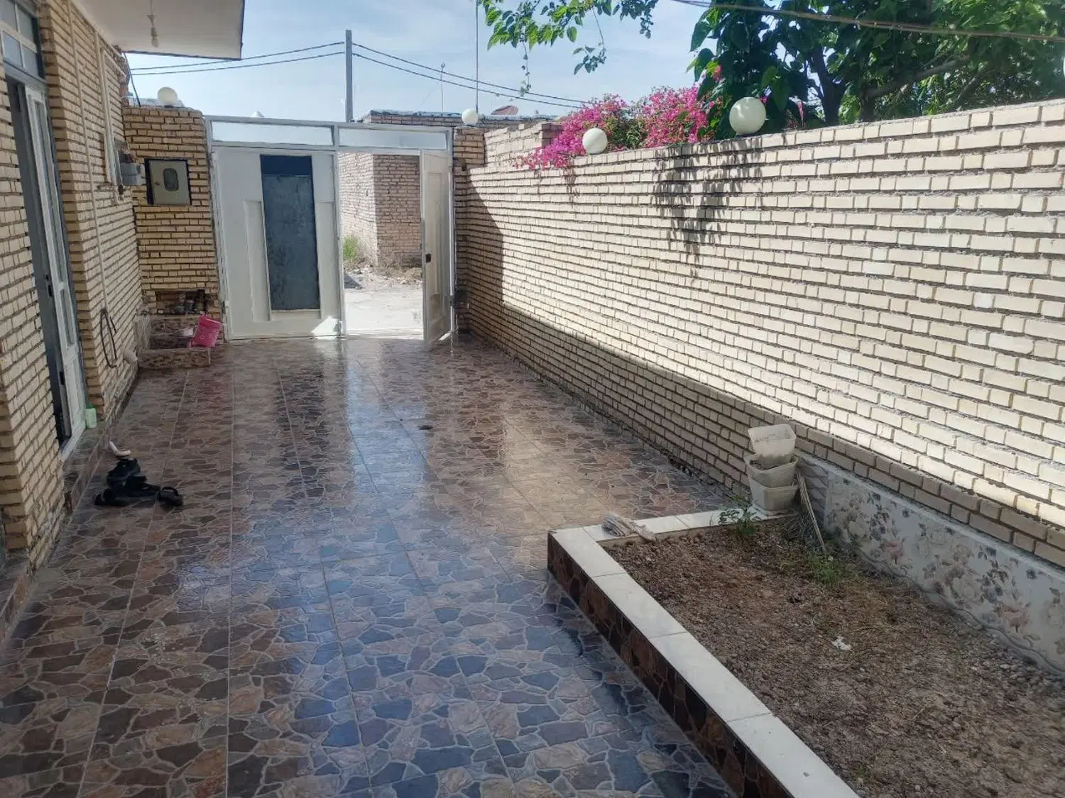 سوئیت روزانه وهفتگی