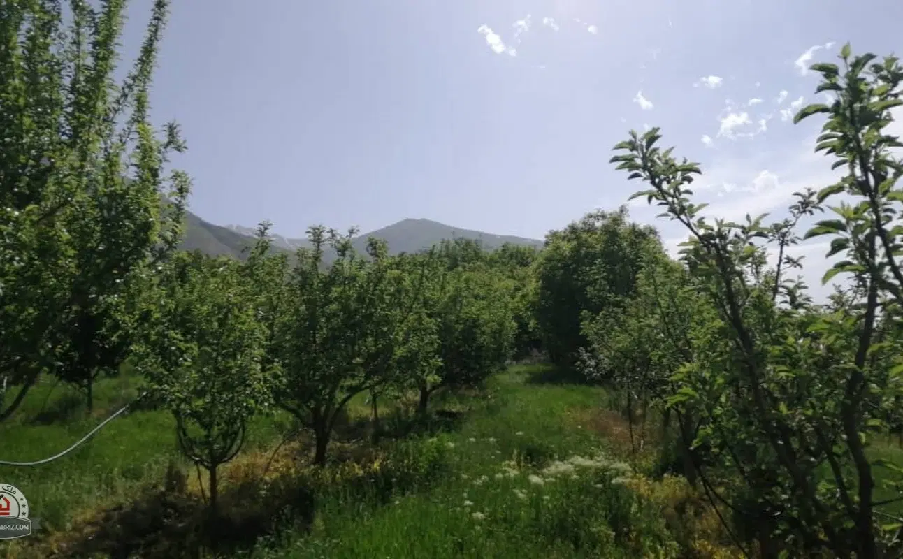 زمین باغ