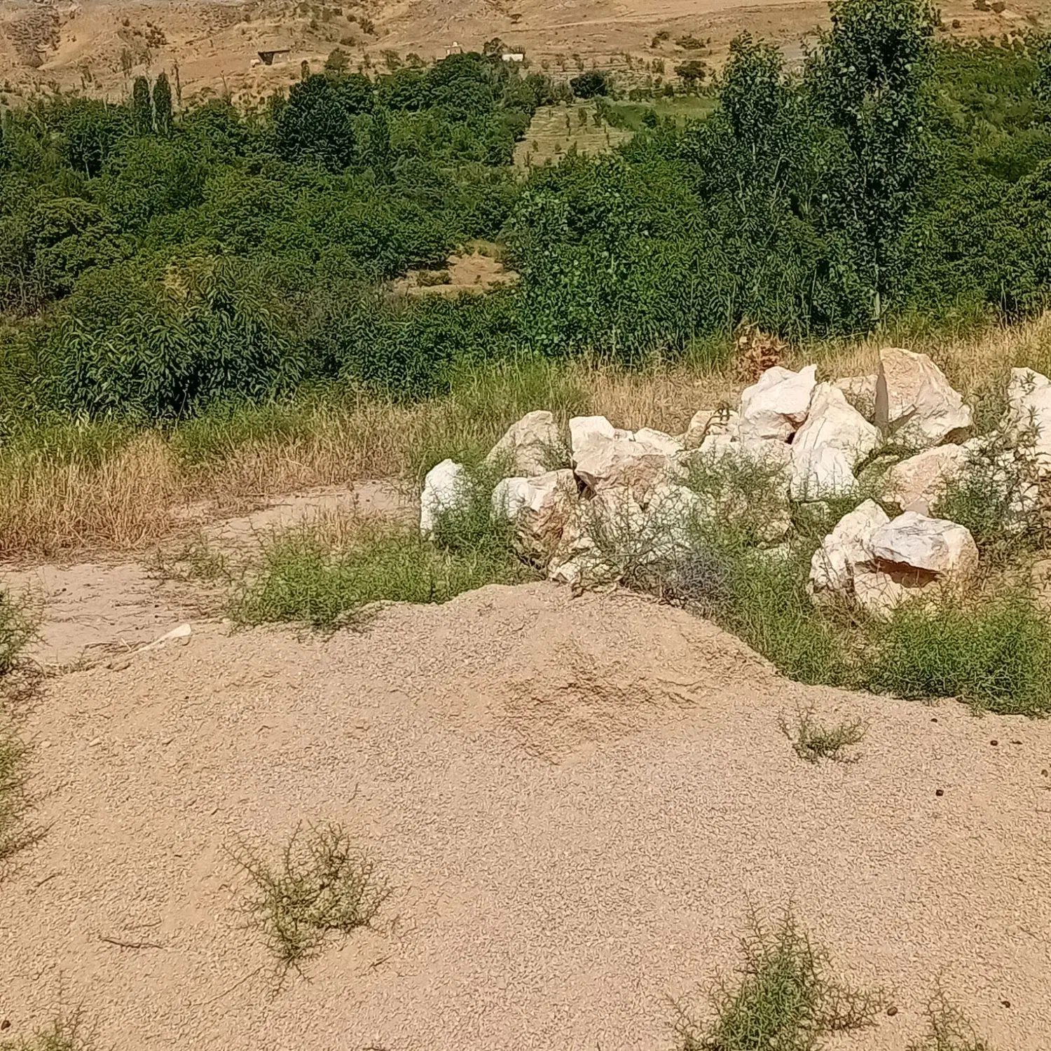 باغ آبی