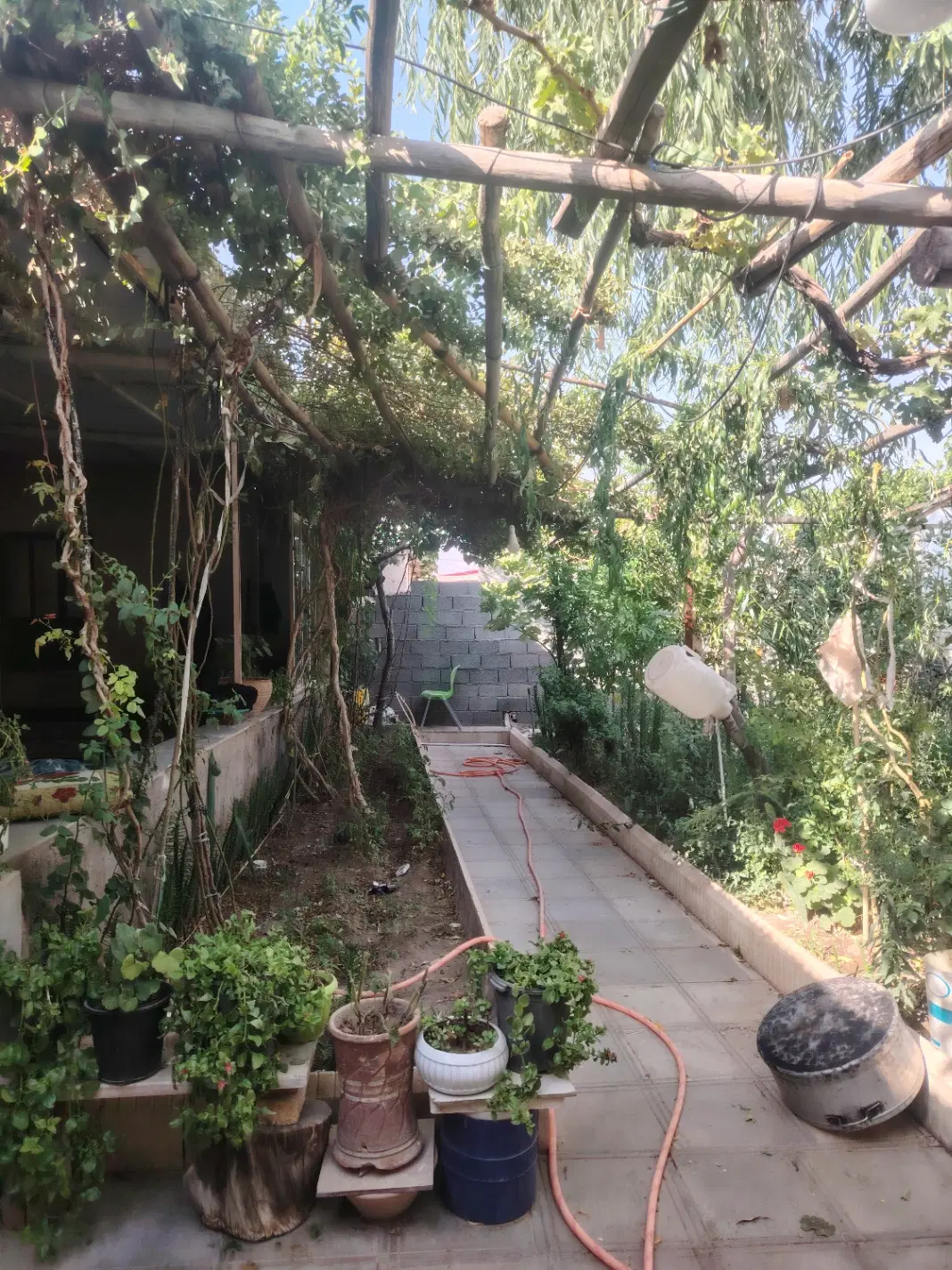 خونه باغ