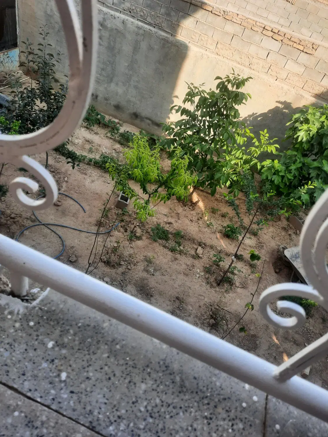 خانه کلنگی در برج