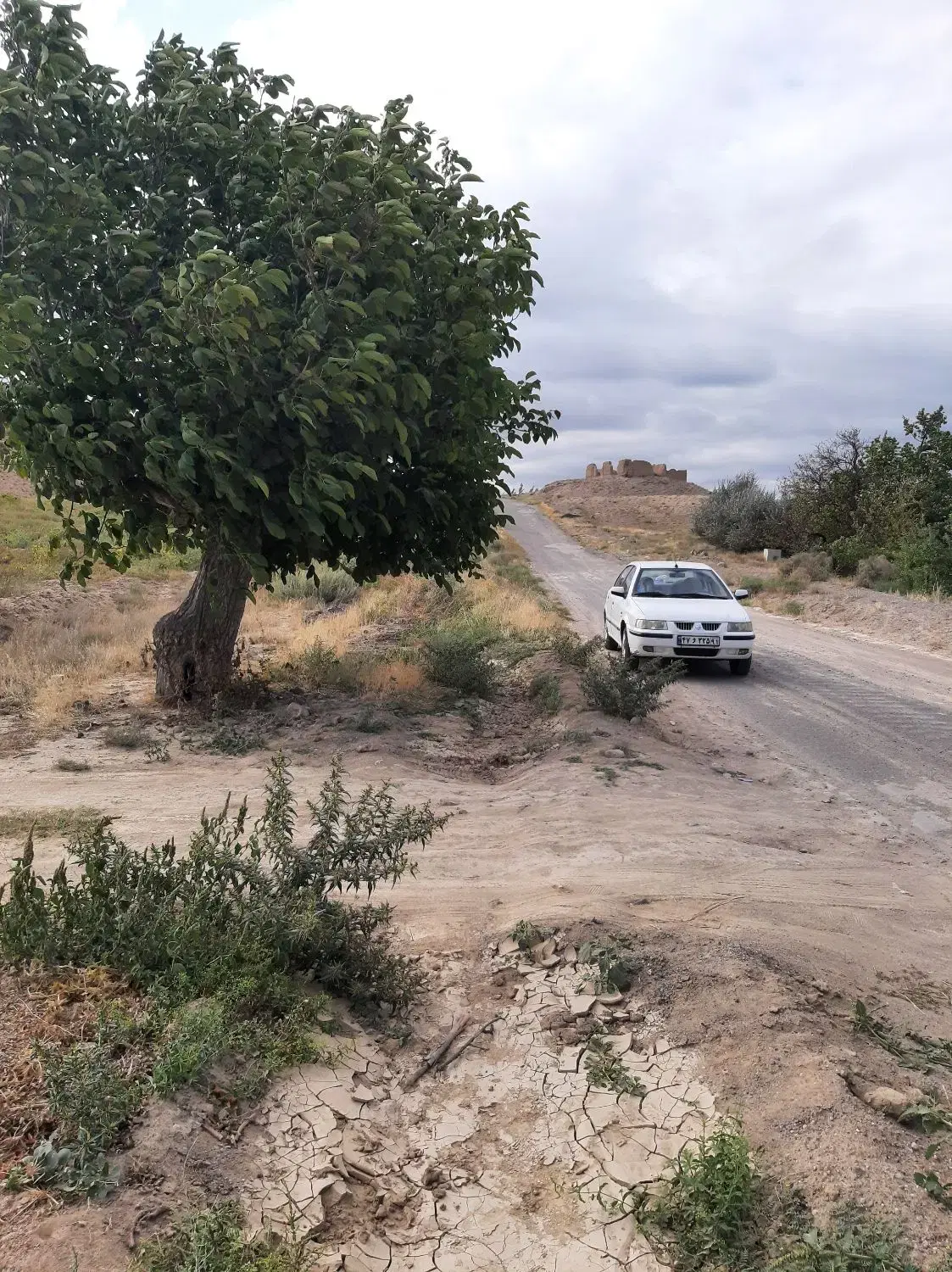 فروش زمین باغی(مشگین شهر)