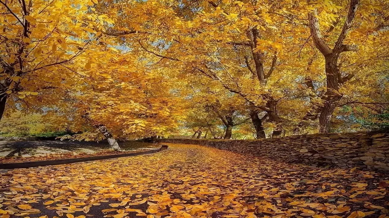 زمین سیاسرد (کوچه آبرسانی)
