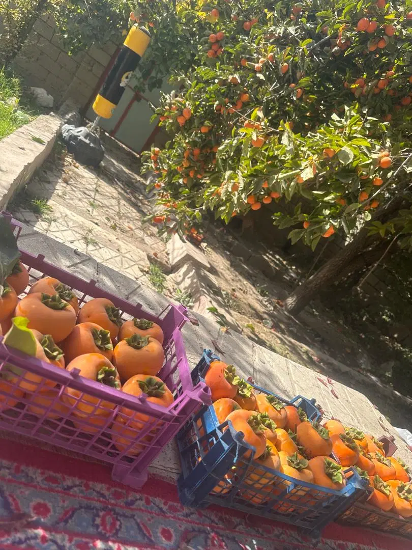 ویلایی امن و دنج خوش آب و هوا