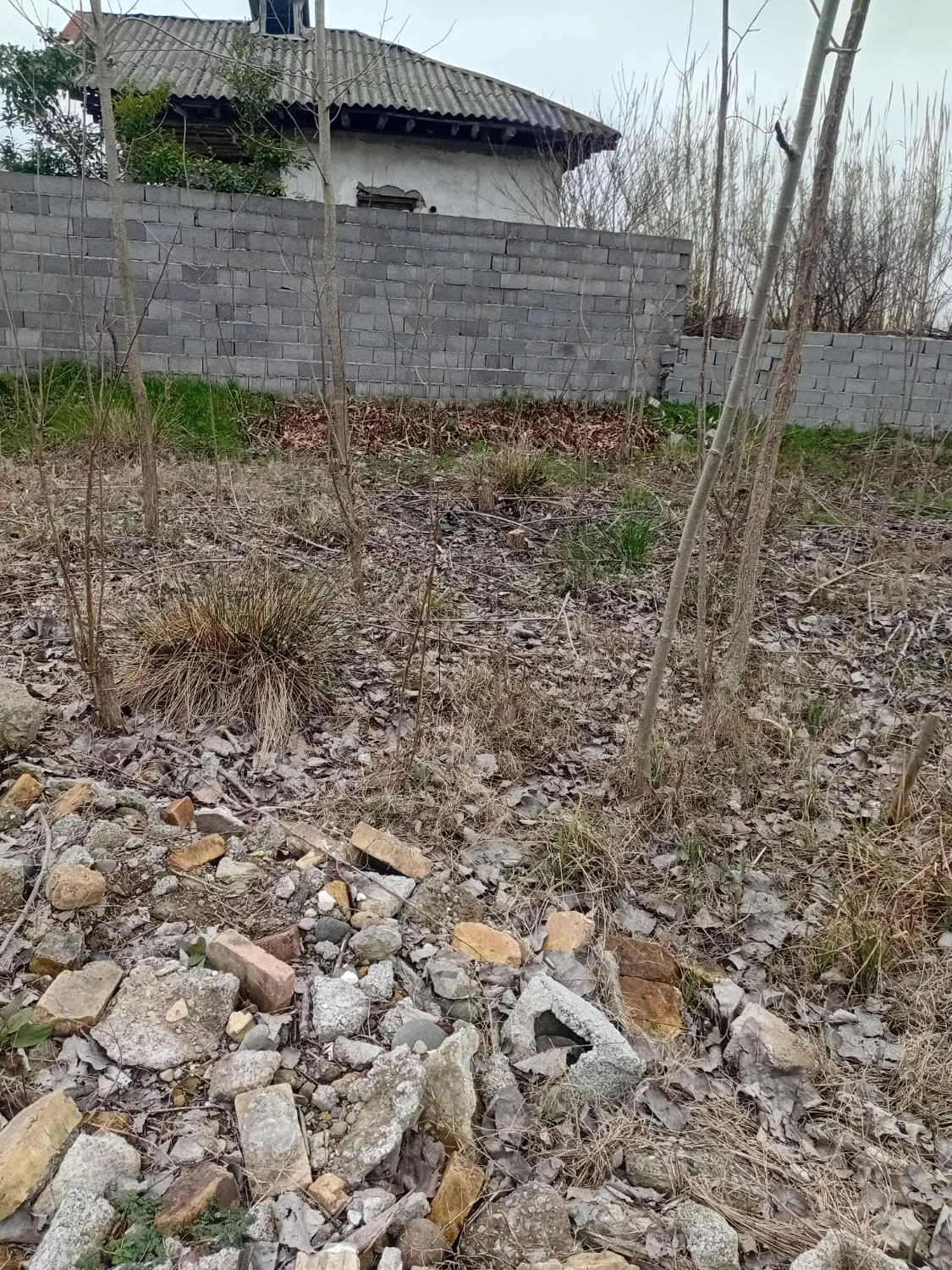 زمین باغی