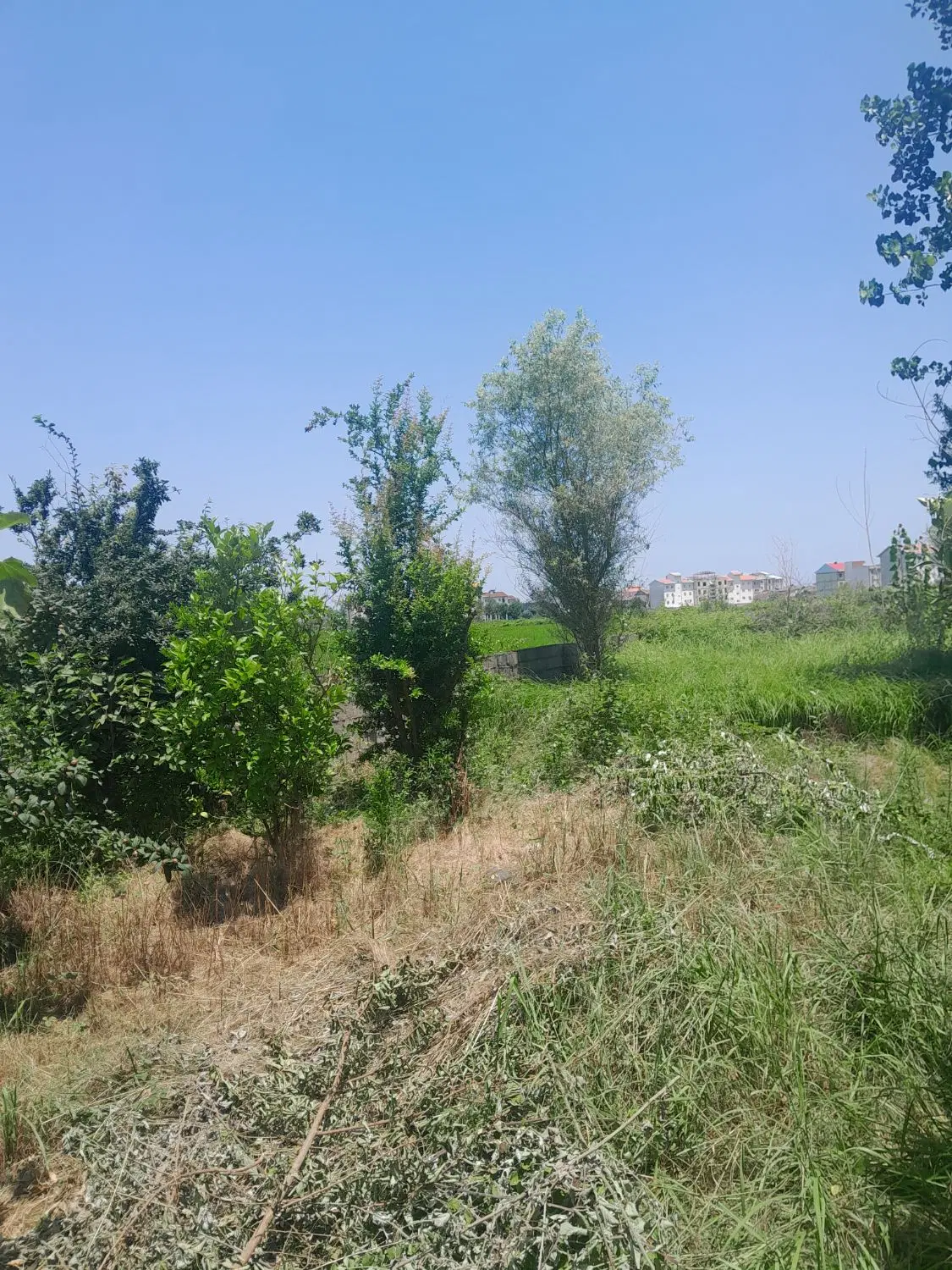 زمین ۲۵۶ سند دار چهارگوش بر  ورودی زمین ۱۵ متری