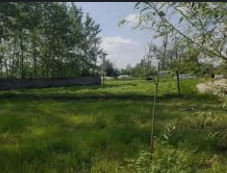فرووش زمین آبی روستای فش