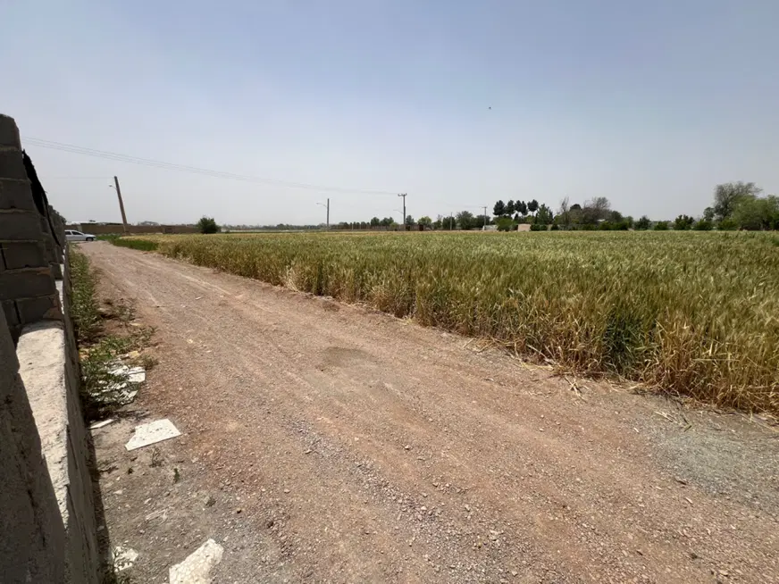 زمین،کشاورزی،باغی،سوله