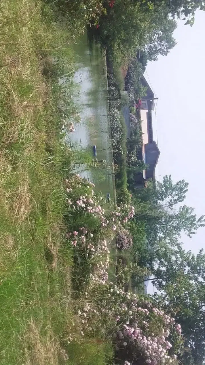 زمین مسکونی با مدارک کامل..