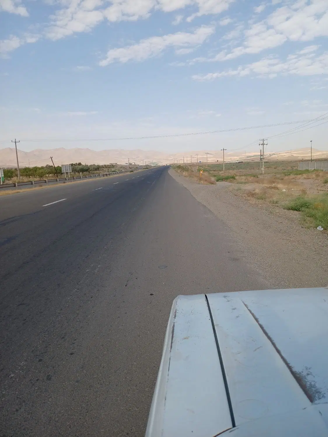 زمین زراعی لب جاده دندی مناسب برای باغ