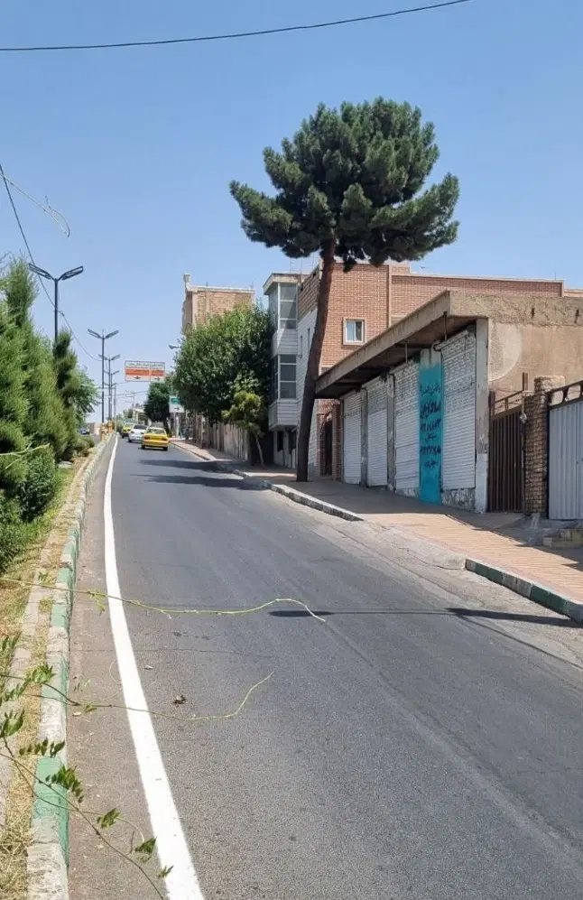 مشاور ملاک کاخ طلایی