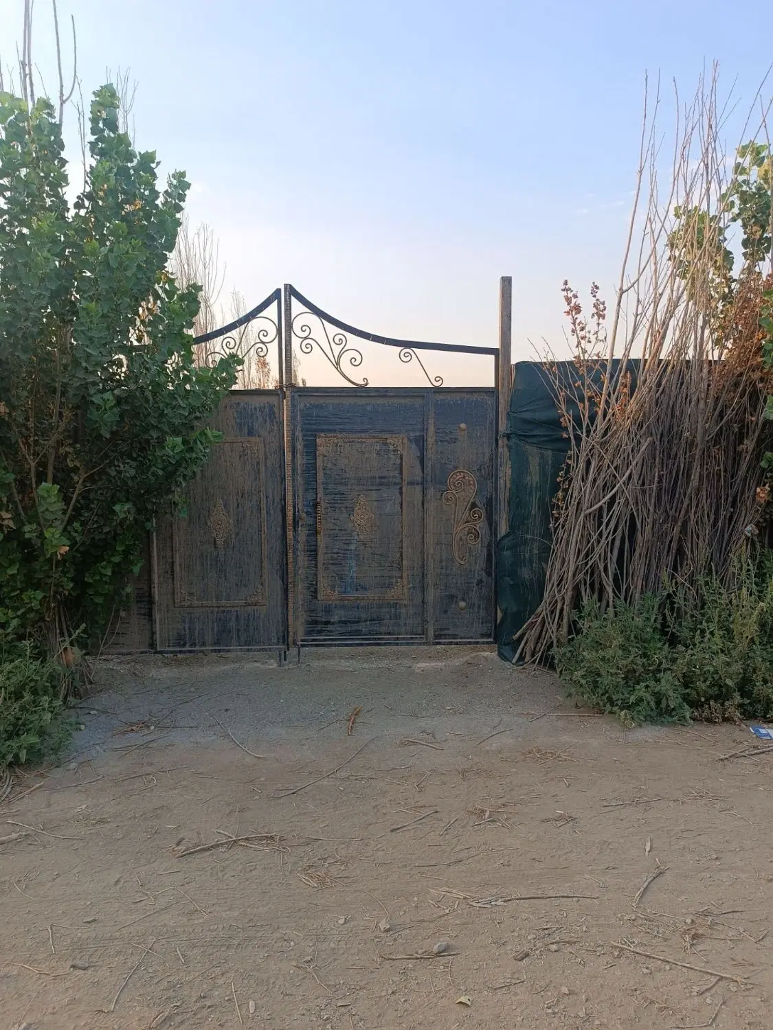 زمین باغی چهار دیواری