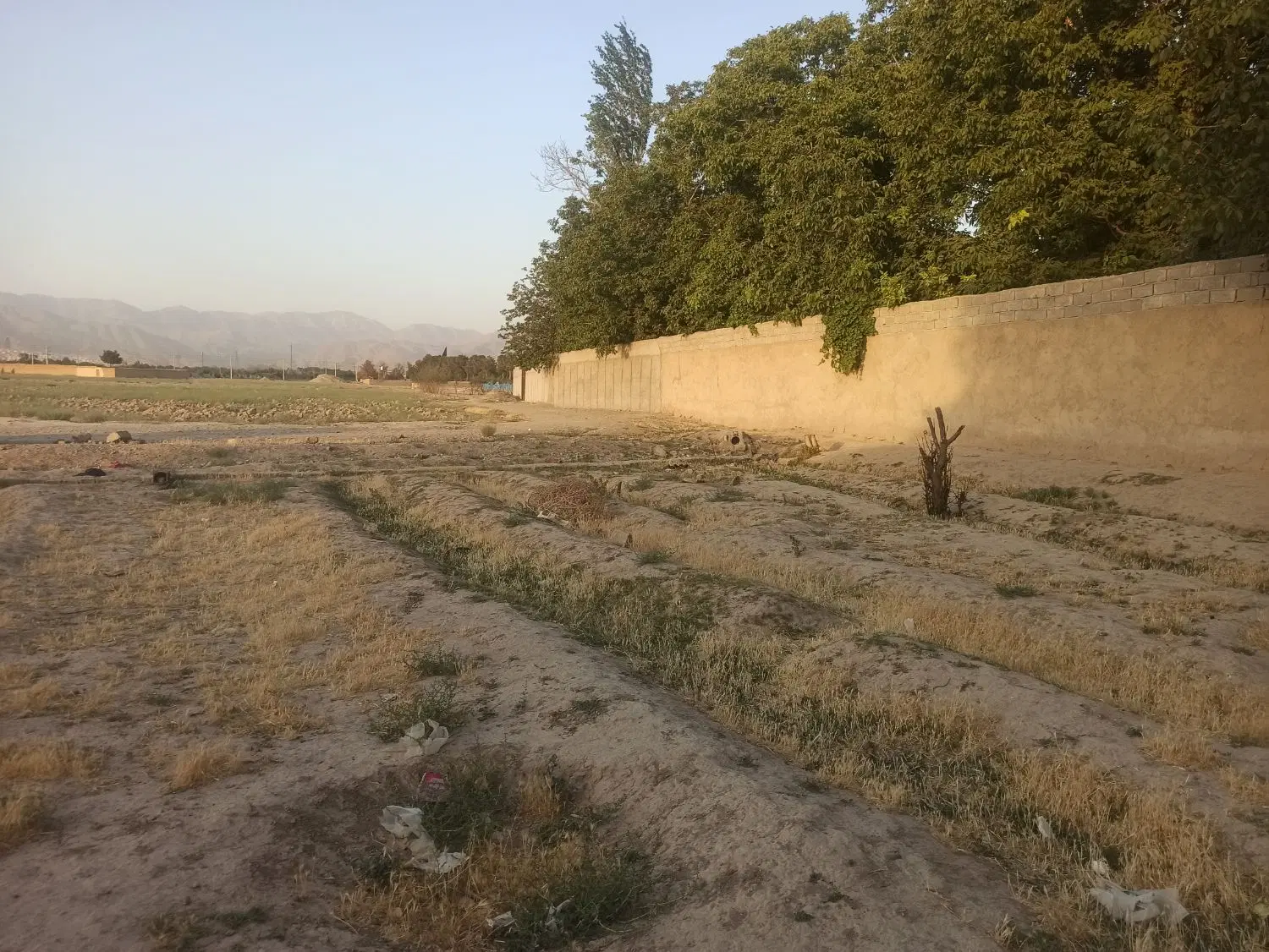 زمین زراعی برای سرمایه گذاری