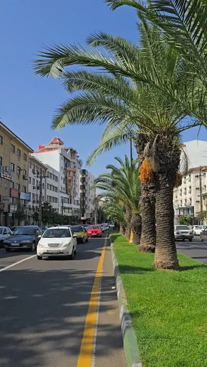 فروش زمین  شکاری مسکونی در تختی