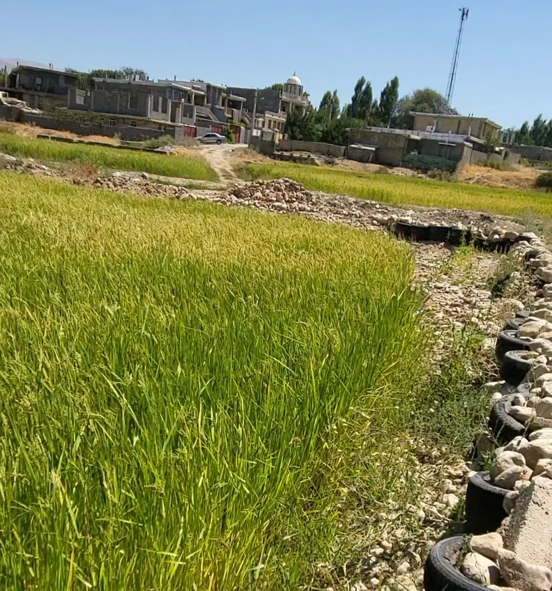 ۷۰۰ متر زمین کشاورزی نرگاه مرکزی