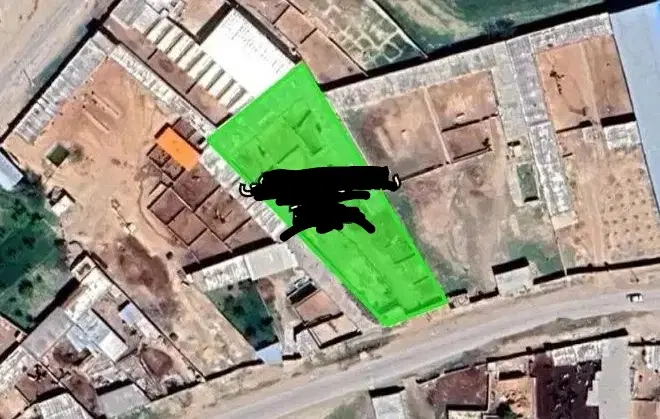 دامداری