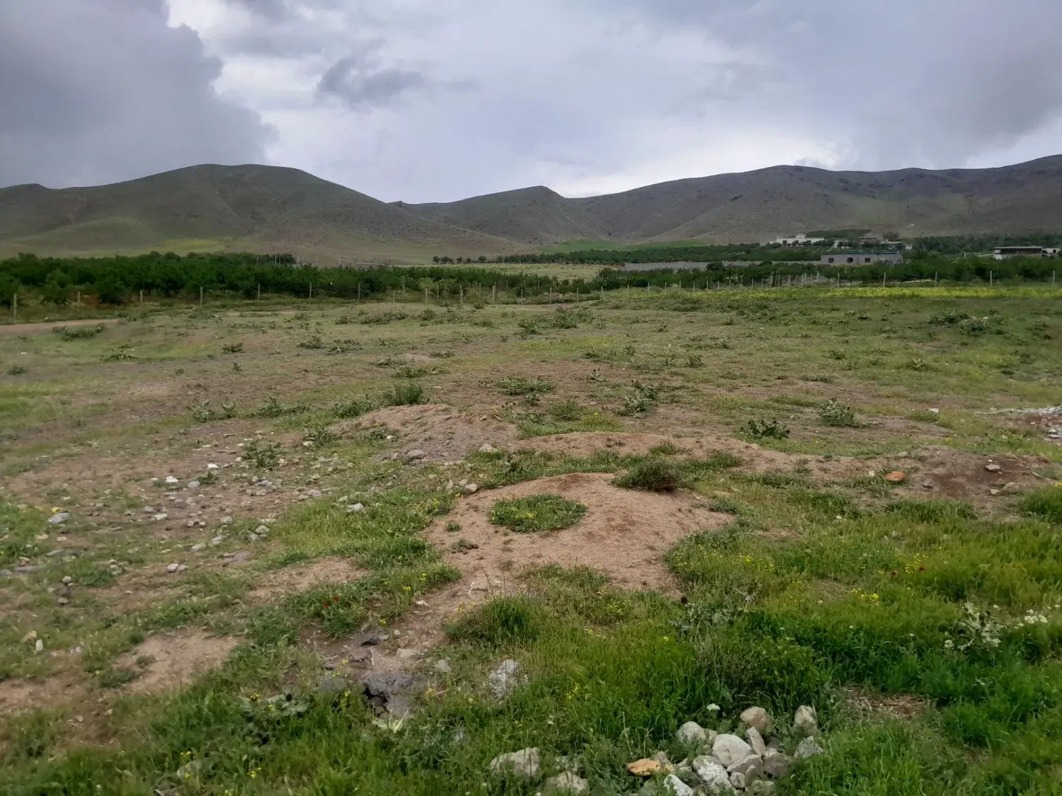 زمین مسکونی و باغی