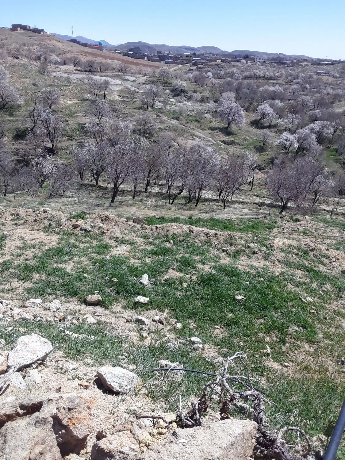 ۱۰۰۰مترزمین درروستای اردبیلک بفروش میرسد