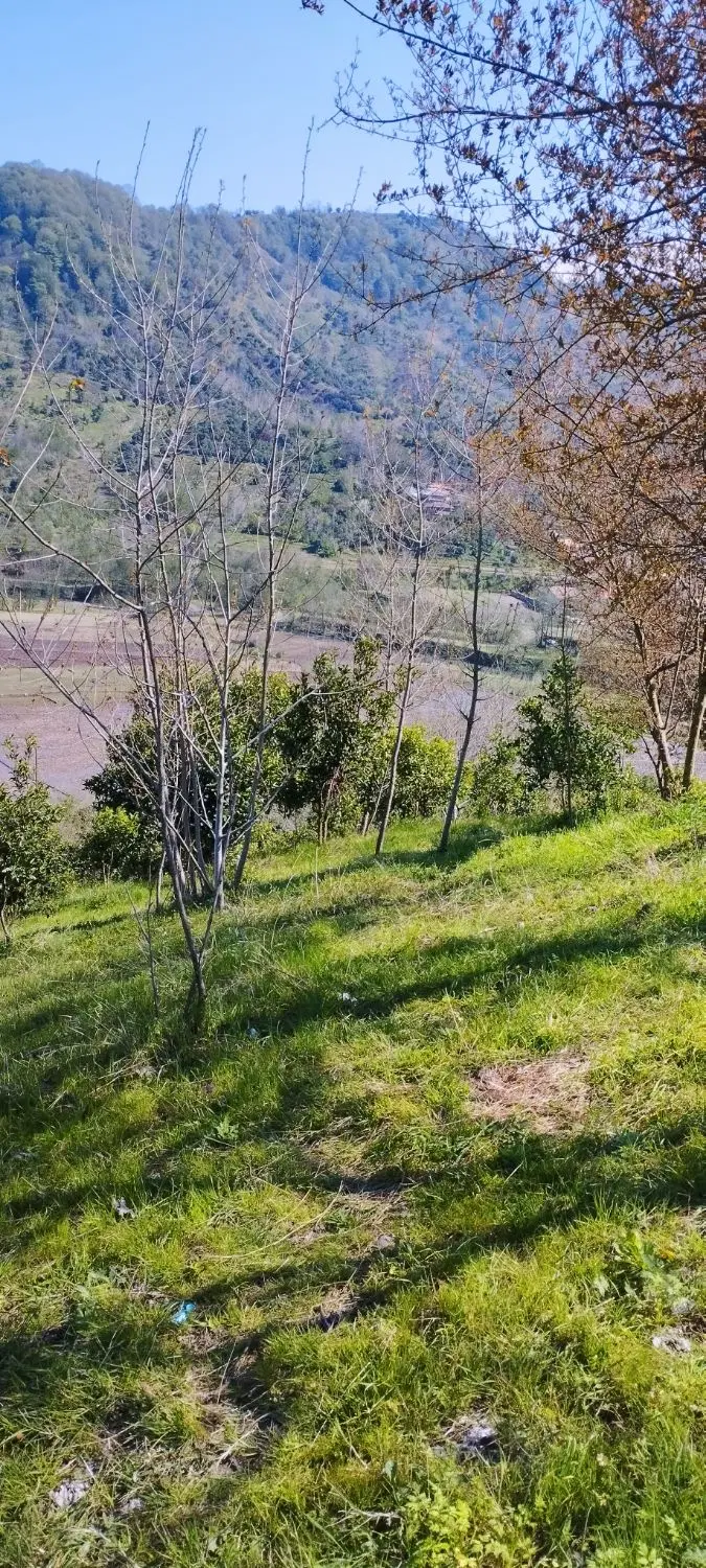 فروش ۴۰۰۰ متر زمین باغی با منظره ای زیبا