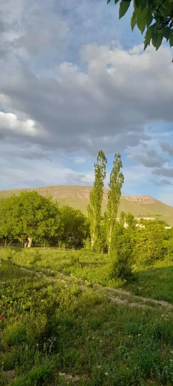 خرید وفروش باغ باغچه وزمین مسکونی روستای تاکند