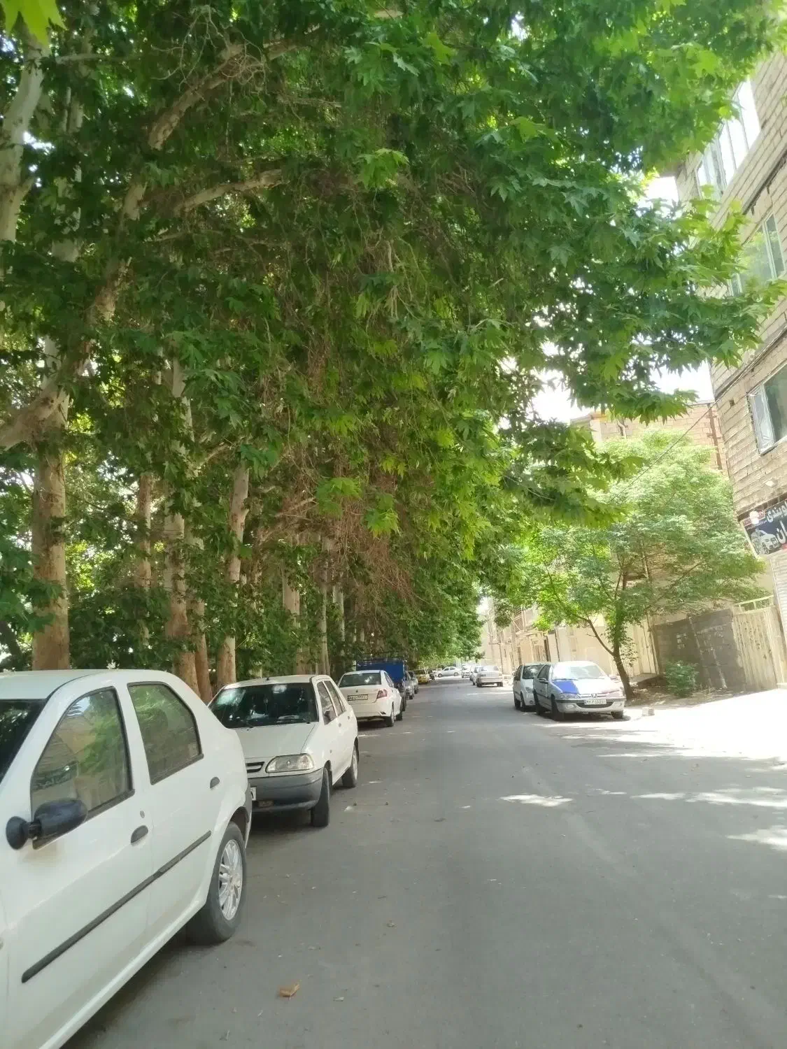فروش آپارتمان سه طبقه تک واحدی