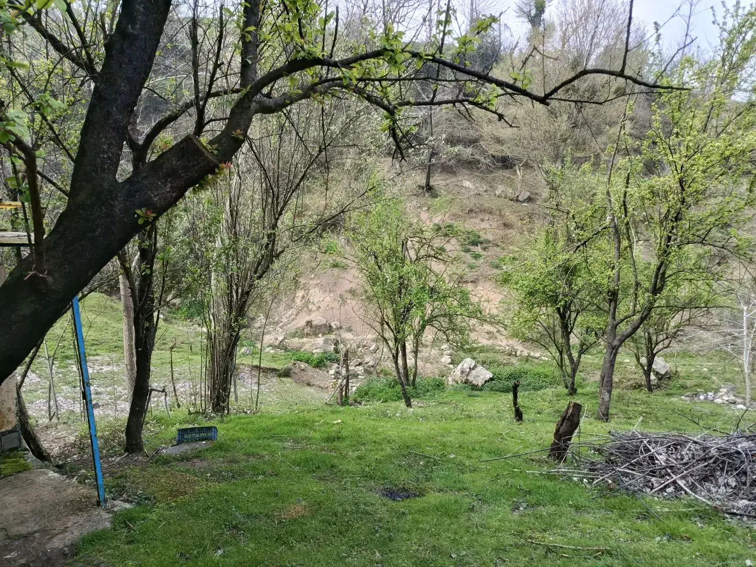 فروش زمین باغی با کلبه و امکانات در مازندران