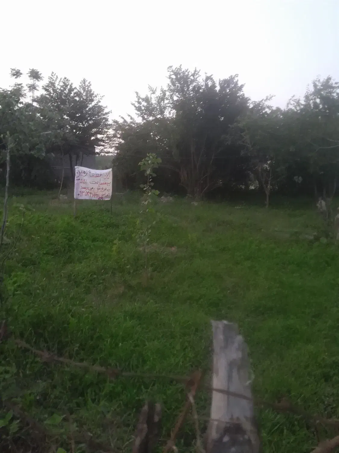 زمین مسکونی