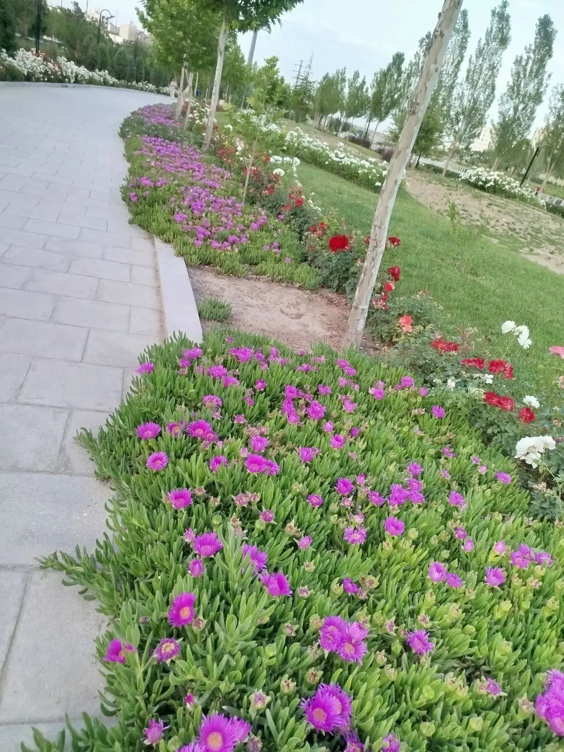 خونه شهرک پرستو