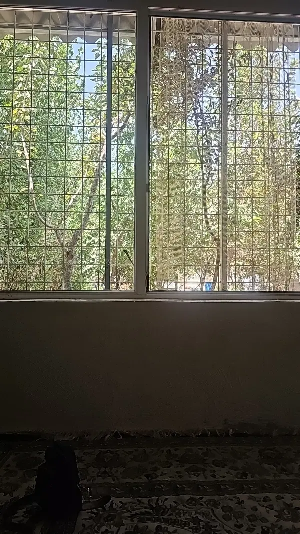 باغچه ۲۶۰ متر تهران
